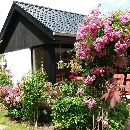 Allegra 1 Dom wakacyjny